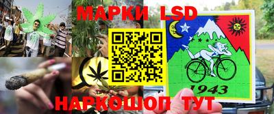 2c-b Новозыбков