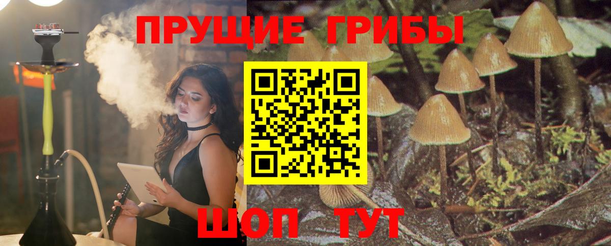 Галлюциногенные грибы Psilocybine cubensis  Вход с VPN  Пугачёв 